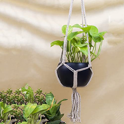 Macrame Plant Holder With Black Pot