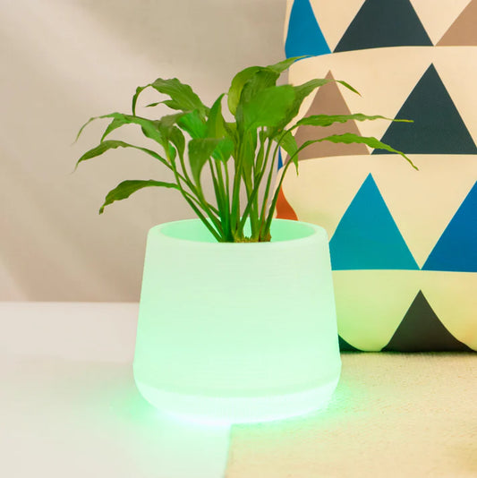 Exotic LED Planter- 4" Rattan LED Small Pot