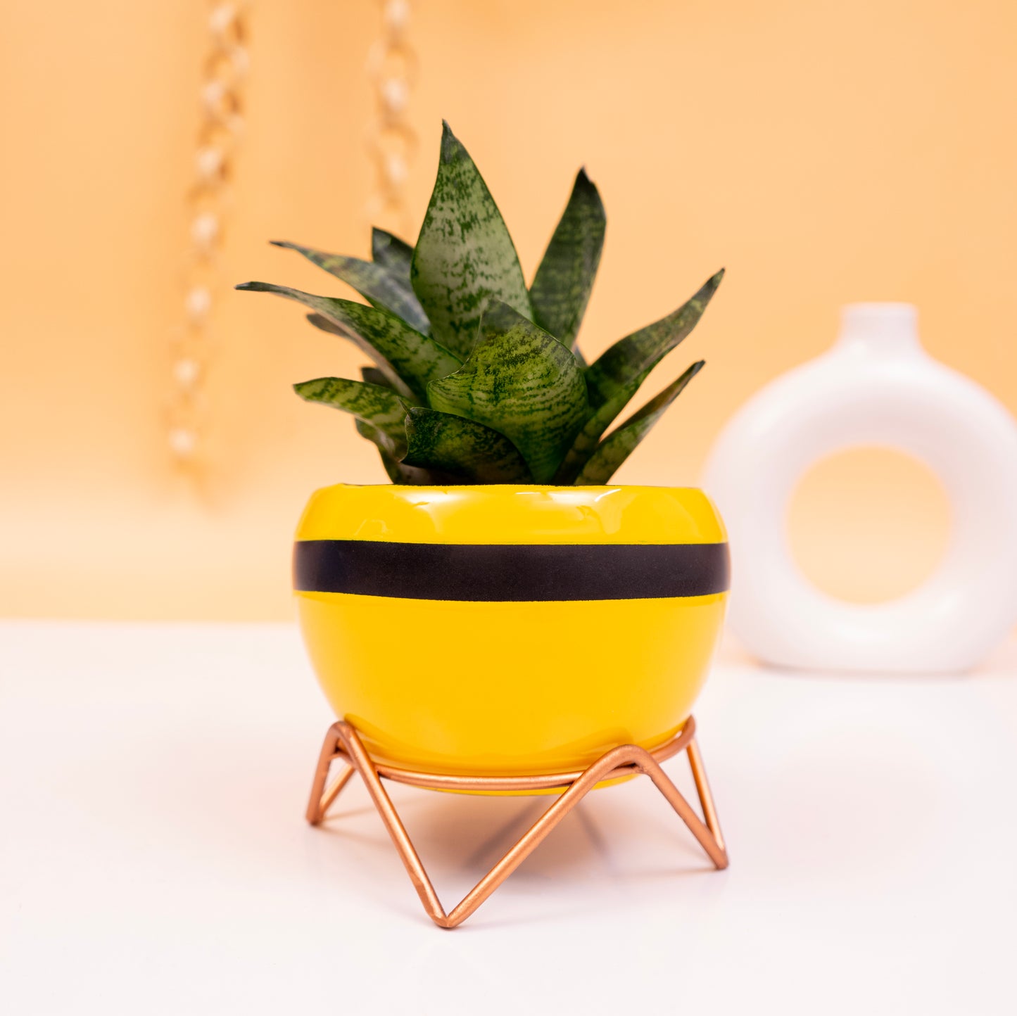 Apple Shaped Metal Pot with Stand