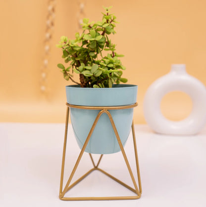 Austere Metal Pot with Triangular Stand