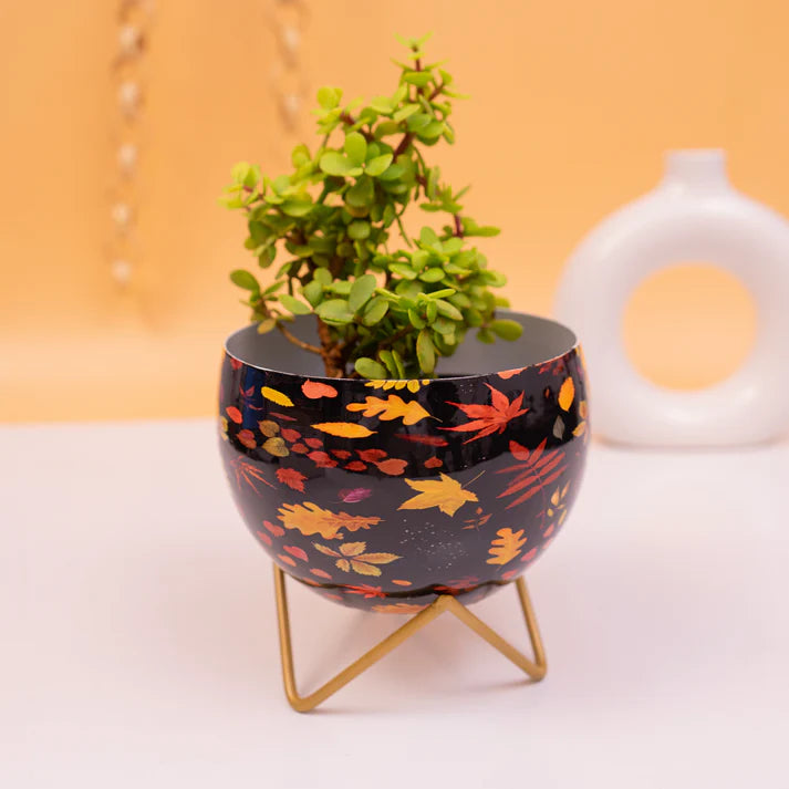 Contemporary Design Round Shape Metallic Pot With Stand