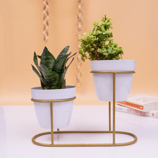 2 Exquisite Metal Pots with Double Golden Stand