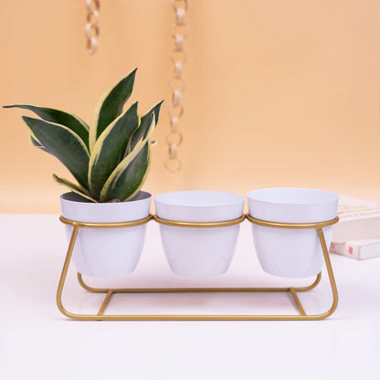 3 Simplistic Metal Pots with Triple Golden Stand