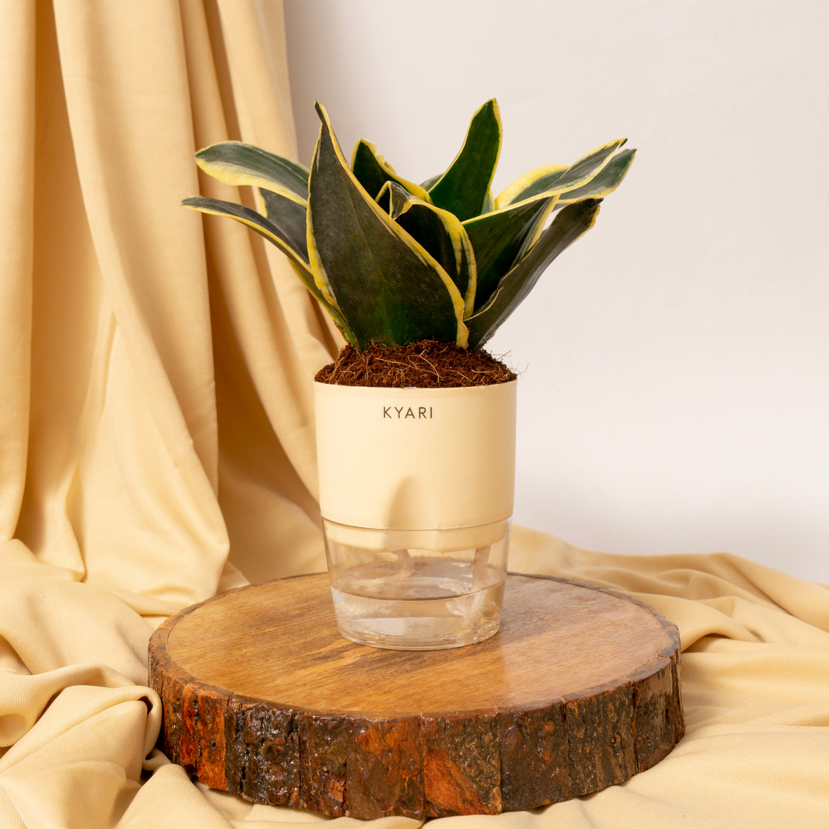 Buy Self Watering Pots And Planters Online At Best Prices – Kyari.co
