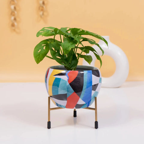 Abstract Design Print Pot