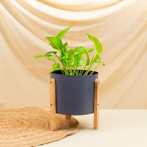 Grey Metal Pot With Wooden Stand