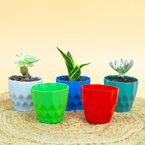 Heera Flower Pot 4" - Multicolor Combo (set of 5)