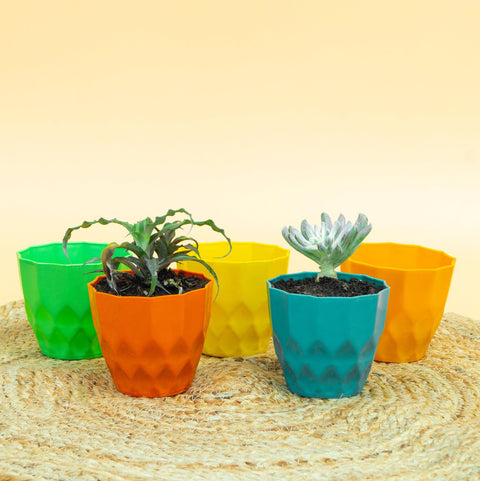 Heera Flower Pot 4" - Multicolor Combo (set of 5)