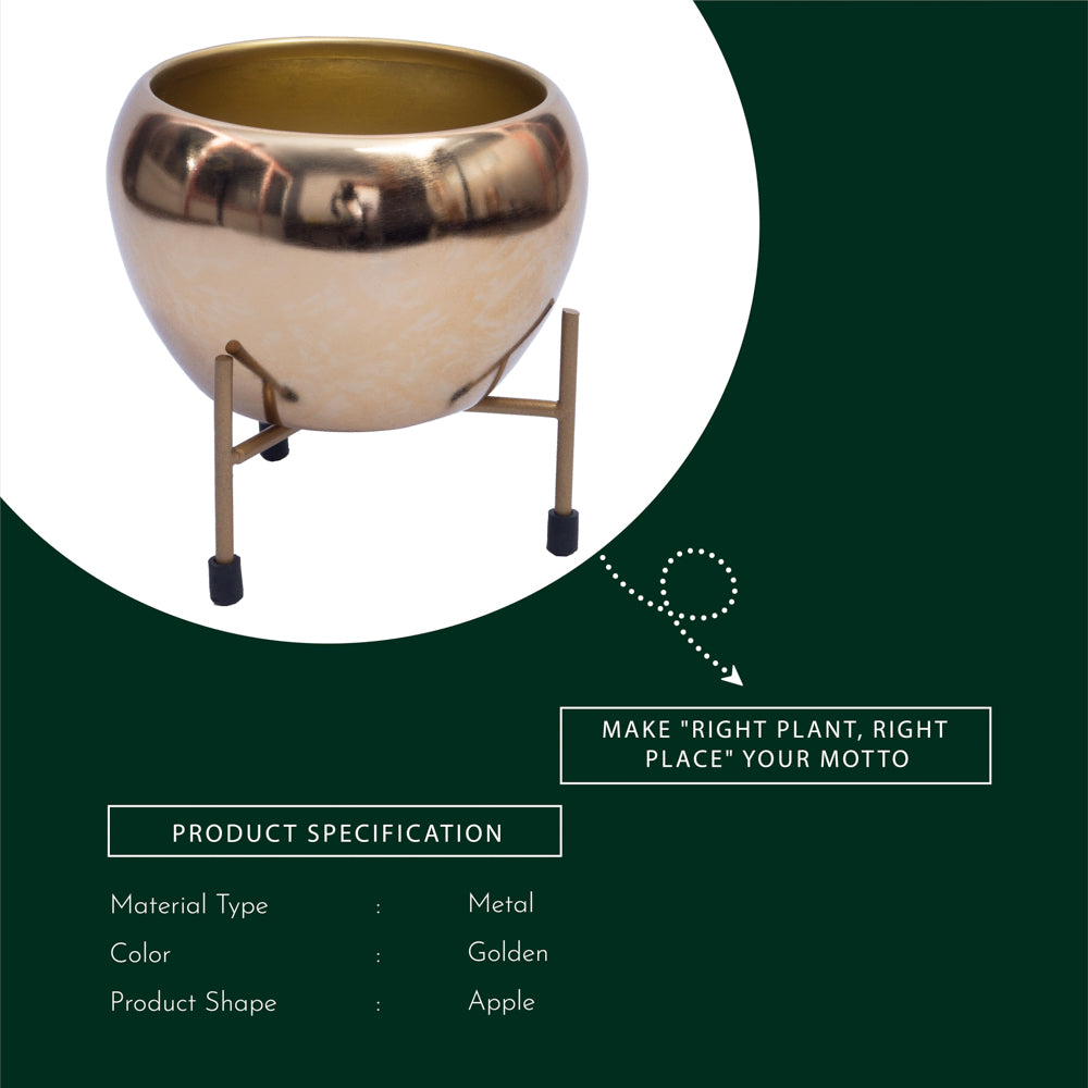 Gold Finish Iron Pot With Stand