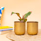Chic Cylindrical Metal Planter (Set of 2)
